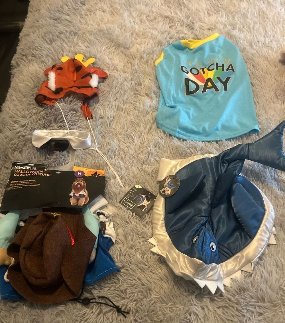 Pet Cat and Small Dog Clothing Various Sizes